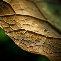 a close up of a brown leaf generative ai photo