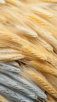 a close up of a bunch of wheat generative ai photo