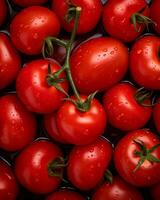 a close up of a bunch of tomatoes with water droplets on them generative ai photo