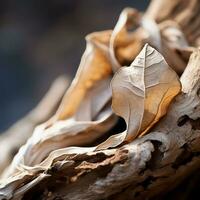 a close up of a dead leaf on a tree branch generative ai photo