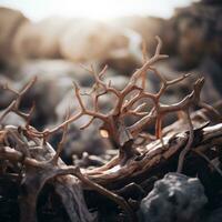a close up of a dead tree on the ground generative ai photo