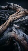 a close up of a fallen tree with dark clouds in the background generative ai photo