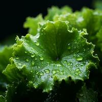 a close up of a green leaf with water droplets on it generative ai photo