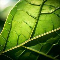 a close up of a green leaf generative ai photo