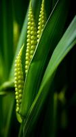 a close up of a green plant with green seeds generative ai photo