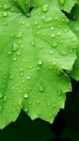 a close up of a green leaf with water droplets on it generative ai photo