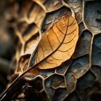 a close up of a leaf on a rock generative ai photo
