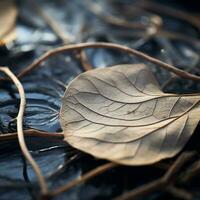 a close up of a leaf laying on the surface of water generative ai photo