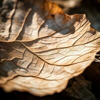 un cerca arriba de un hoja en el suelo generativo ai foto