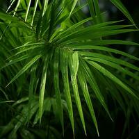 a close up of a palm leaf with water droplets on it generative ai photo