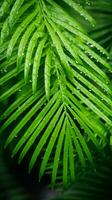 a close up of a palm leaf with water droplets on it generative ai photo