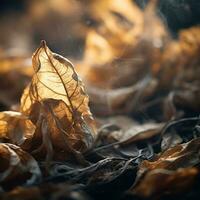a close up of a pile of dead leaves on the ground generative ai photo