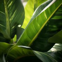 a close up of a plant with green leaves generative ai photo