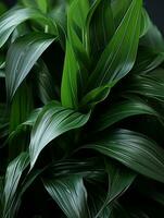 un cerca arriba de un planta con verde hojas generativo ai foto