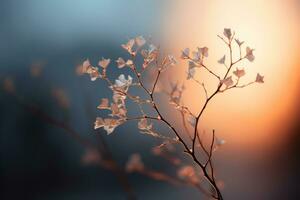 a close up of a plant with some flowers in the background generative ai photo