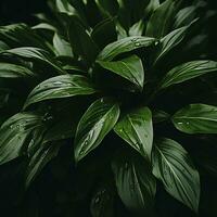 un cerca arriba de un planta con agua gotas en eso generativo ai foto