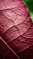 un cerca arriba de un rojo hoja con agua gotas en eso generativo ai foto