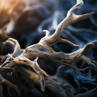 a close up of a tree branch with no leaves generative ai photo