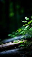 a close up of a tree branch with leaves on it generative ai photo