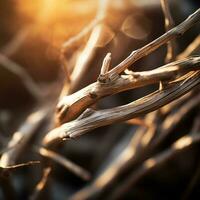 a close up of a tree branch with the sun behind it generative ai photo