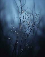 a close up of a tree branch with small white flowers generative ai photo