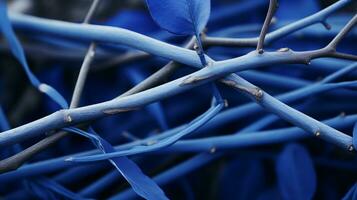 un cerca arriba de azul hojas en un rama generativo ai foto