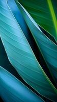 a close up of green and blue leaves on a black background generative ai photo