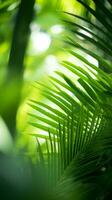 a close up of green leaves in a tropical forest generative ai photo