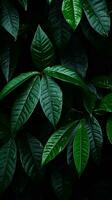 a close up of green leaves on a black background generative ai photo