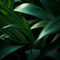 a close up of green leaves on a dark background generative ai photo