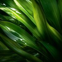 a close up of green leaves on a dark background generative ai photo