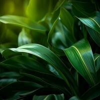 a close up of green leaves on a dark background generative ai photo