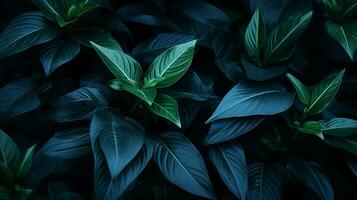 a close up of green leaves on a dark background generative ai photo