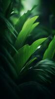 a close up of green leaves on a dark background generative ai photo