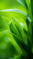 a close up of green leaves on a green background generative ai photo