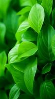 un cerca arriba de verde hojas en un planta generativo ai foto