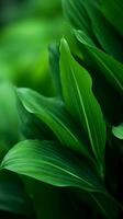 a close up of green leaves on a plant generative ai photo