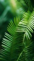 a close up of green leaves on a tropical plant generative ai photo