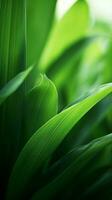 a close up of green leaves on a sunny day generative ai photo