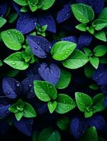 a close up of green leaves with water droplets generative ai photo