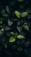a close up of green leaves with water droplets on them generative ai photo