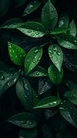 un cerca arriba de verde hojas con agua gotas generativo ai foto