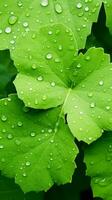 un cerca arriba de verde hojas con agua gotas generativo ai foto