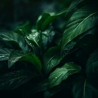 a close up of green leaves with water droplets generative ai photo