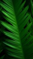 a close up of green palm leaves on a black background generative ai photo