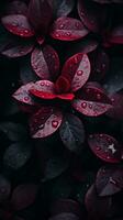 a close up of red leaves with water droplets generative ai photo