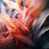 a close up of some colorful feathers on a black background generative ai photo