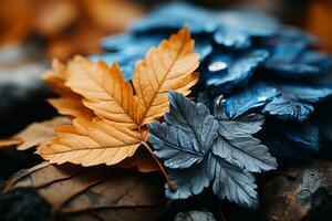 a close up of some leaves with blue and orange colors generative ai photo