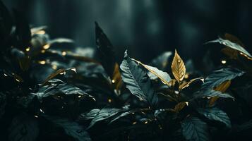 a close up of some leaves in a dark forest generative ai photo