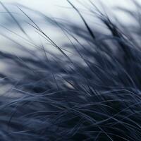 a close up of some tall grass with a beach in the background generative ai photo